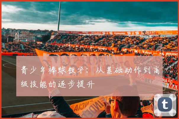 青少年棒球教学：从基础动作到高级技能的逐步提升